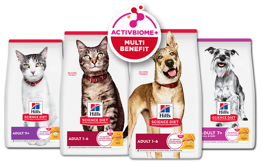 Derm Complete Puppy coming soon Hillspet Nutritrion