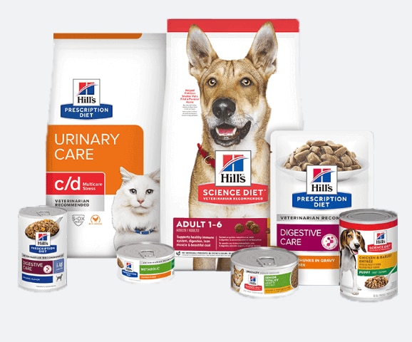 A grouping of Hill’s products including dry food, wet food. 