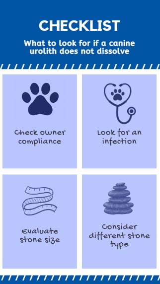 Checklist: What to look for if a canine urolith does not dissolve