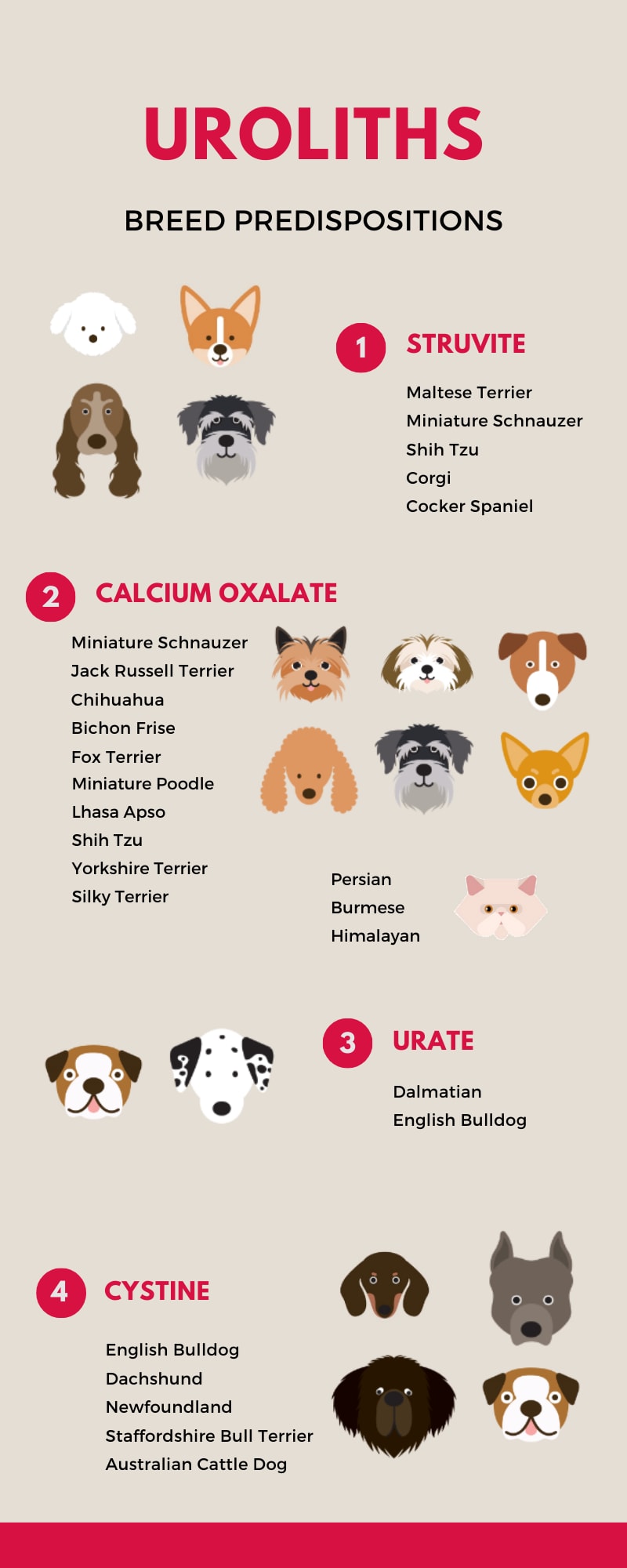 GUESSTIMATING Urolith Composition Hill's Veterinary Nutrition Blog