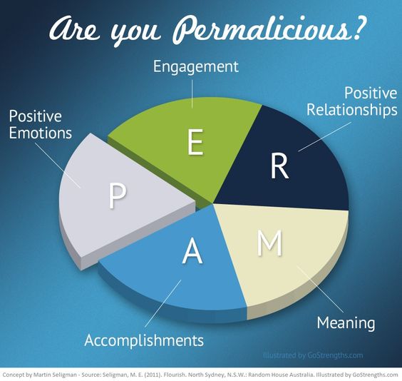 The is an image of a pie chart depicting the PERMA model- Positive emotions, Engagement, positive Relationships, Meaning and Accomplishments.