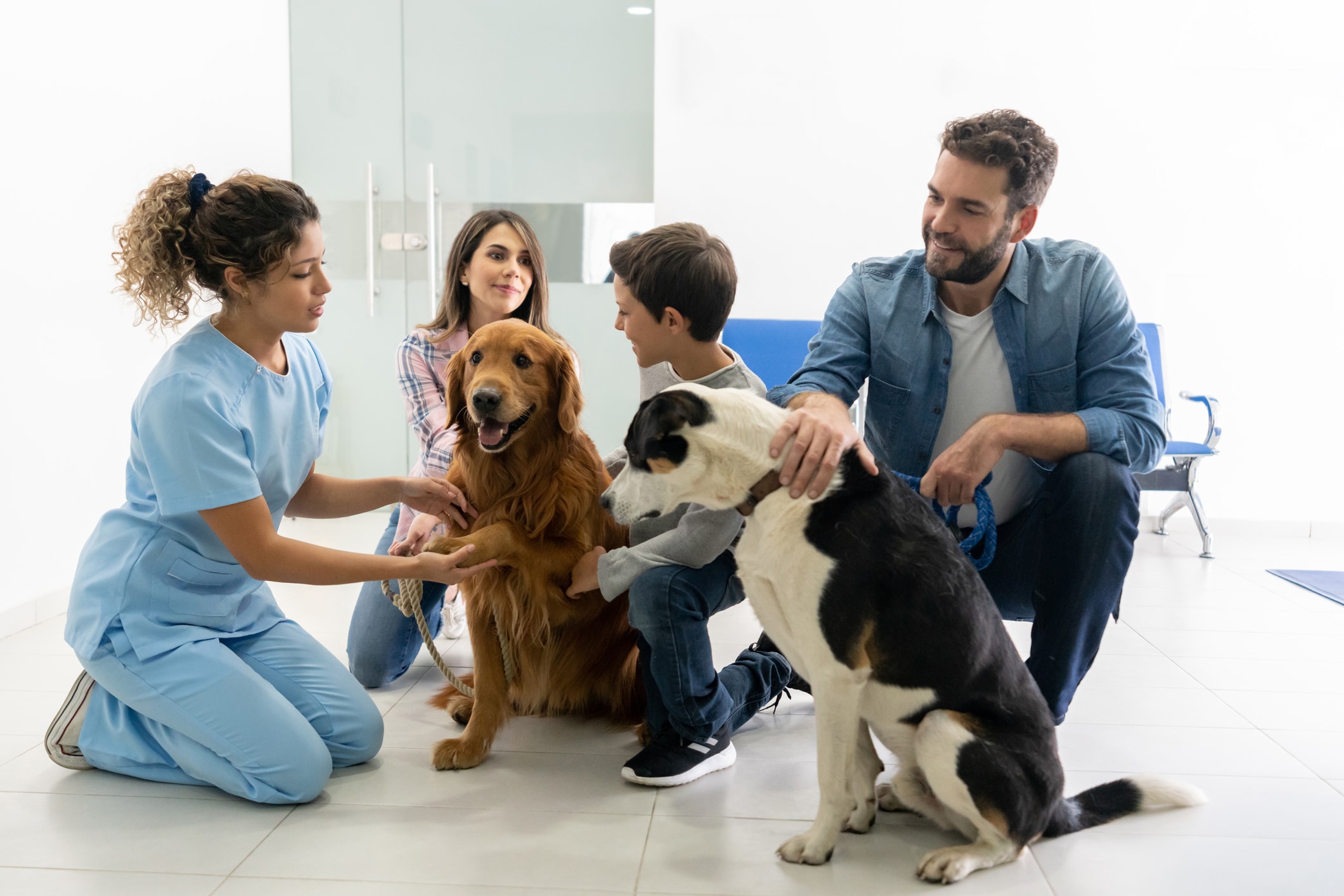 What's included in a Veterinary Nurse Nutrition Consultation? - Hill's Veterinary  Nutrition Blog